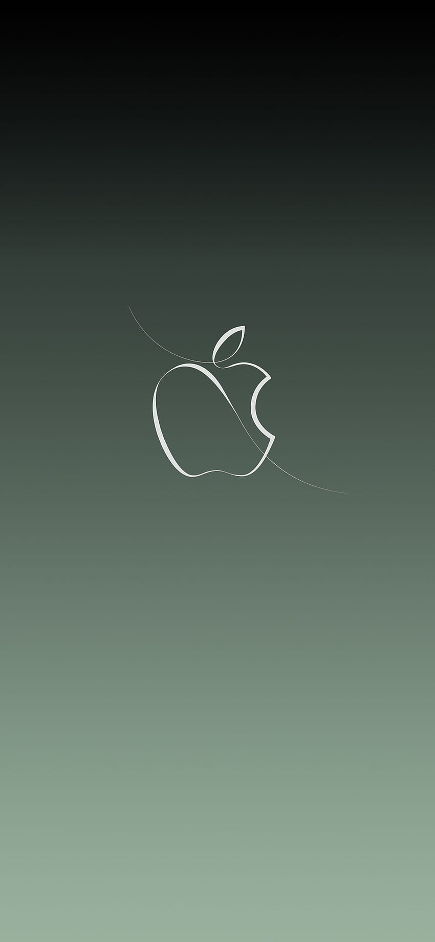 1242x2688 Apple Green Logo Backgrounds Iphone XS MAX , Backgrounds, and ...