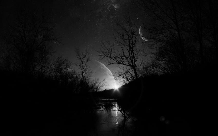 Dark Forest Night, Instagram, พื้นหลัง, ป่ามืดพร้อมพระจันทร์ วอลล์เปเปอร์ HD
