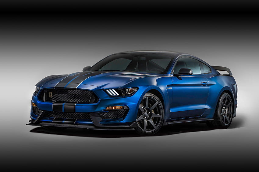 Mustang GT350, Ford Mustang Shelby GT350 Tapeta HD