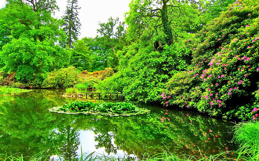 สวนป่าฤดูร้อน ฤดูใบไม้ร่วง ธรรมชาติที่น่าหลงใหล ทะเลสาบงดงาม ท้องฟ้า ป่าที่น่าหลงใหล วอลล์เปเปอร์ HD