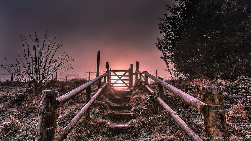 Other: Stairway Magenta Heaven Steps Rails Gate Sun For, stairway to heaven HD wallpaper
