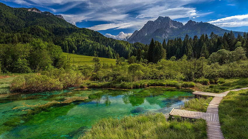 Lake and forest in Zelenci Springs nature reserve, Kranjska Gora, Upper Carniola, Slovenia HD wallpaper