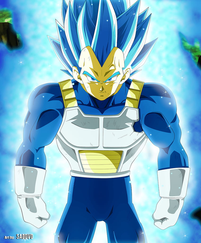 Vegetto Super Saiyan Blue, vegeta ssj blue HD phone wallpaper | Pxfuel