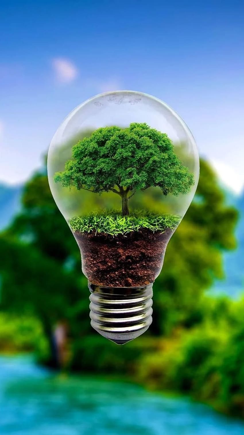 tree in light bulb, eco HD phone wallpaper