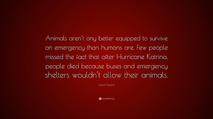 Citation Ingrid Newkirk animaux : Les animaux ne sont pas mieux équipés pour survivre, urgence Fond d'écran HD