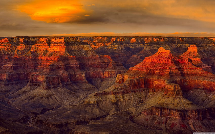 Grand Canyon National Park Ultra Backgrounds for U TV : & UltraWide & Laptop : Tablet : Smartphone HD wallpaper