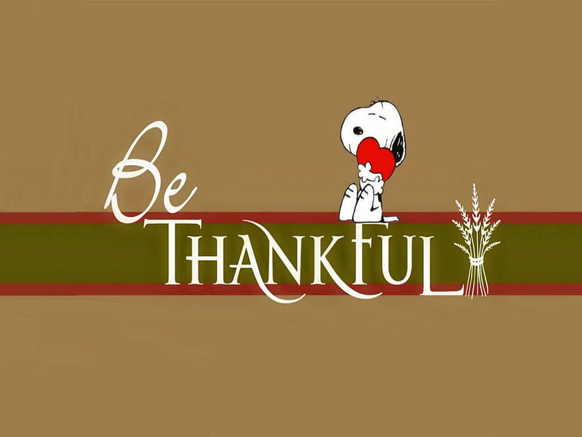 Turkey Happy Thanksgiving Christian, thanksgiving church HD wallpaper