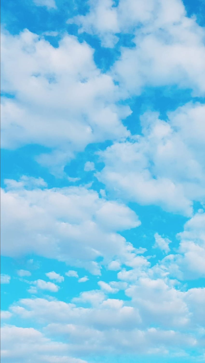 Синьо небе върху куче, небесен цвят HD тапет за телефон