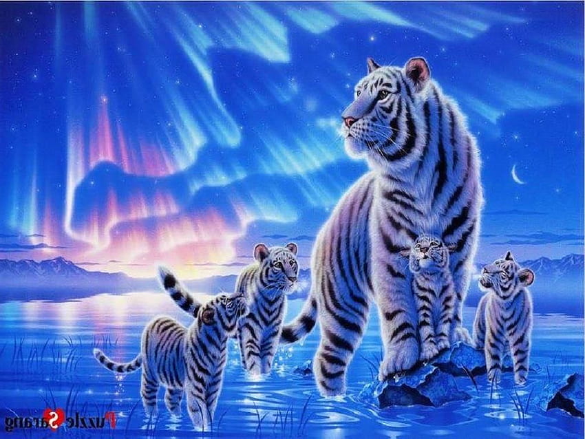 Mobile wallpaper Fantasy Snow Tiger White Tiger Baby Animal Cub  Fantasy Animals 383557 download the picture for free