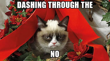 Với hình nền chú Mèo Giáng Sinh dễ thương này, bạn sẽ muốn đặt làm hình nền điện thoại và máy tính ngay lập tức! Chú mèo đang nằm trên một chiếc gối, tay ôm chiếc vòng đầy ngộ nghĩnh, khoác trên mình áo len đỏ thắm - một hình ảnh hoàn hảo cho mùa Giáng Sinh này!