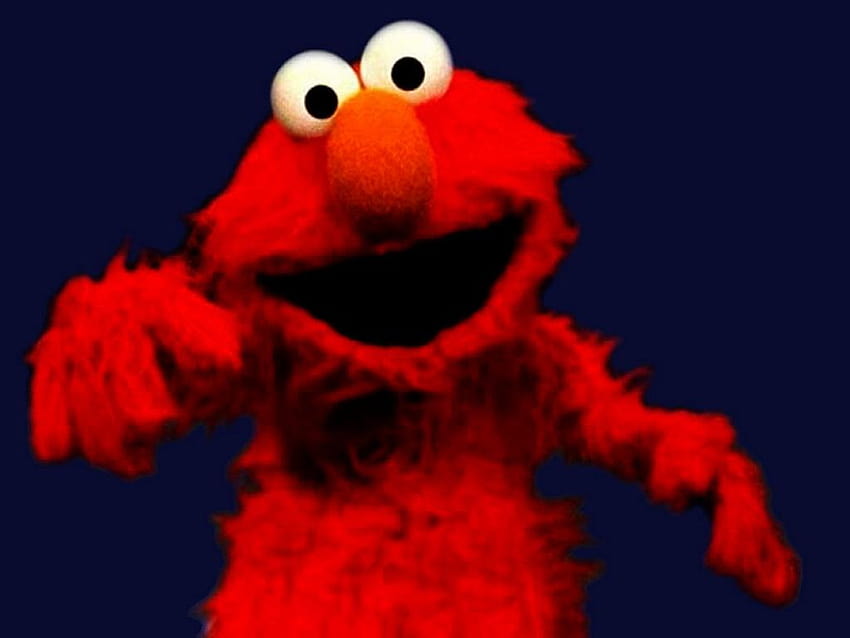 Los 5 mejores memes de Sesame Street en Hip, elmo fondo de pantalla