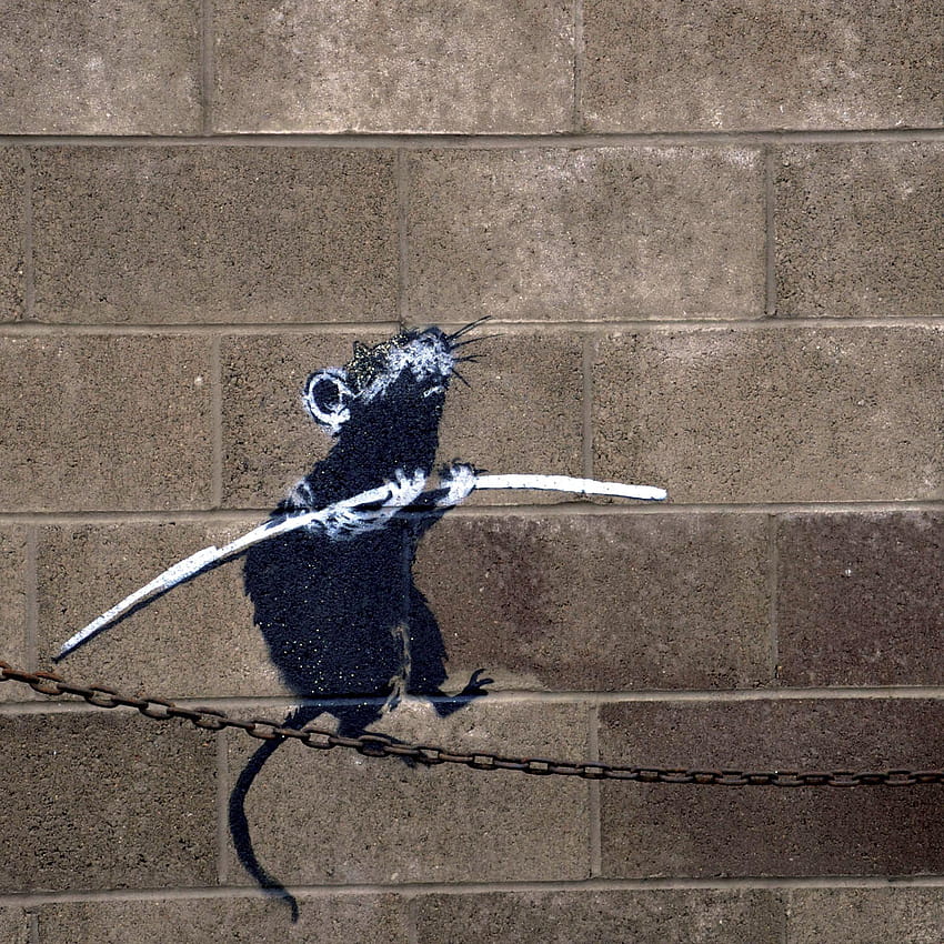 banksy rat HD phone wallpaper