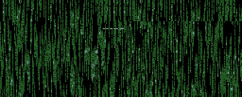 4 Kode Matriks Biru Langsung, hujan matriks Wallpaper HD
