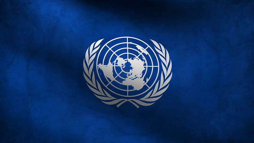 United Nations Png & United Nations .png Transparent HD wallpaper | Pxfuel