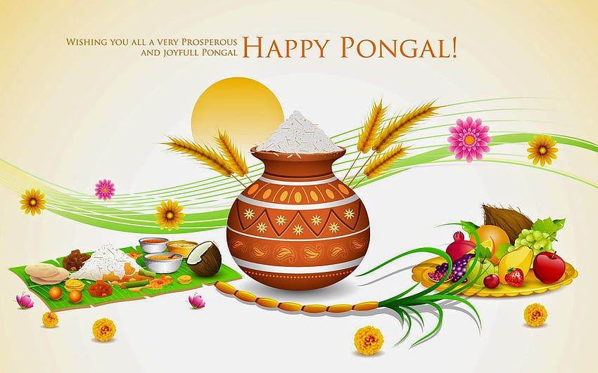 wish you happy thai pongal, happy pongal HD wallpaper