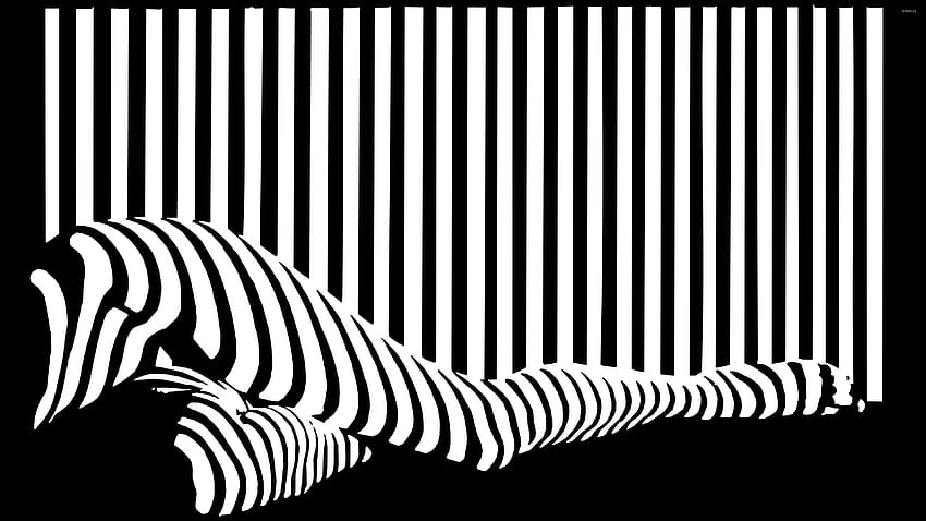 Best Of Black And White Striped Horizontal, black and white stripes HD wallpaper