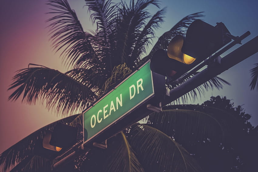 Ocean Drive sign in Miami Beach, miami palm HD wallpaper
