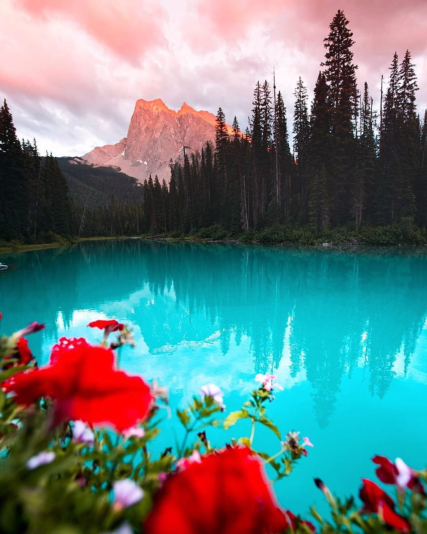 Emerald Lake Yoho National Park British Columbia Canada, emerald lake ontario canada HD phone wallpaper