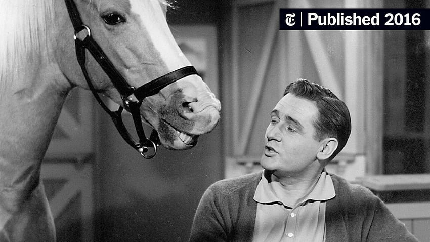Alan Young, the Affable Owner on 'Mister Ed,' Dies at 96 HD wallpaper