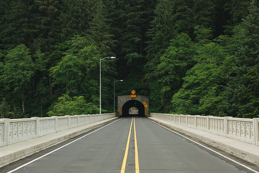 empty bridge road leads to a tunnel through the forestoregon coast, empty road HD wallpaper