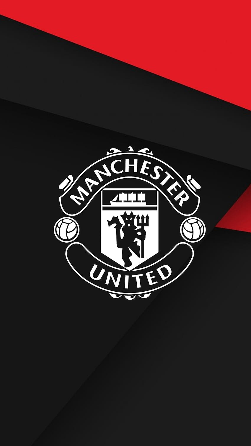 Manchester United Logo em Dog, man utd logo 2021 Papel de parede de celular HD
