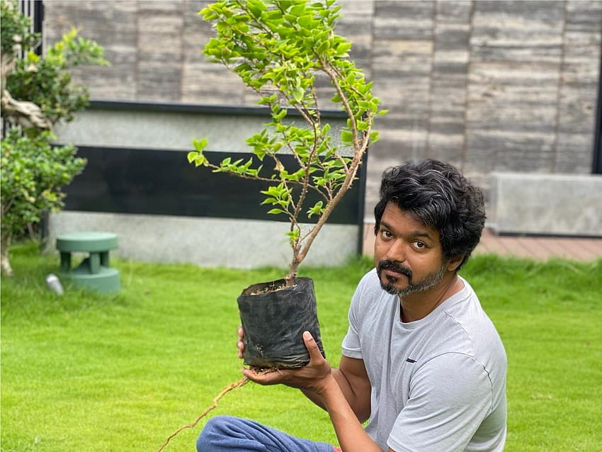 : Thalapathy Vijay takes up Mahesh Babu's Green India Challenge; Plants sapling in his garden HD wallpaper