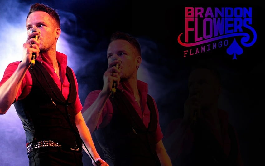 Brandon Flowers Flamingo and [1280x800] for your , Mobile & Tablet HD wallpaper