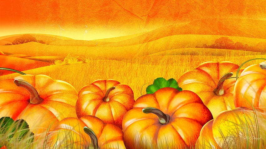 Best 3 Pumpkin Picking on Hip, pumpkin festival HD wallpaper