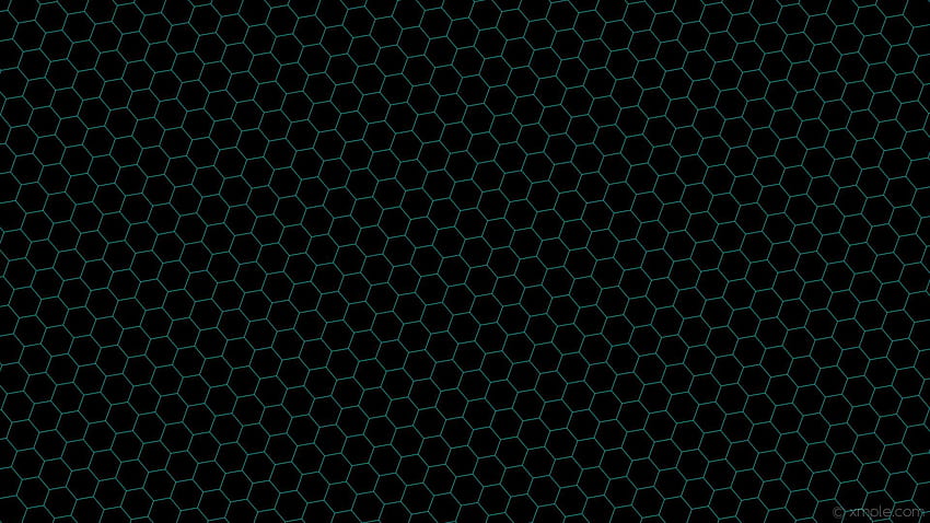 7 Black Honeycomb, beehive HD wallpaper