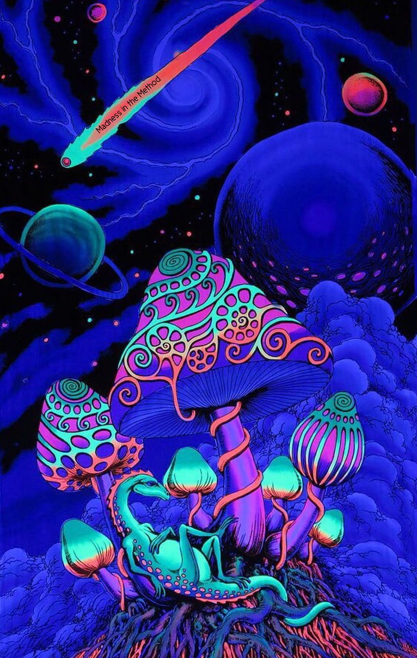 30 Mushroom ideas in 2021, magic mushrooms iphone HD phone wallpaper