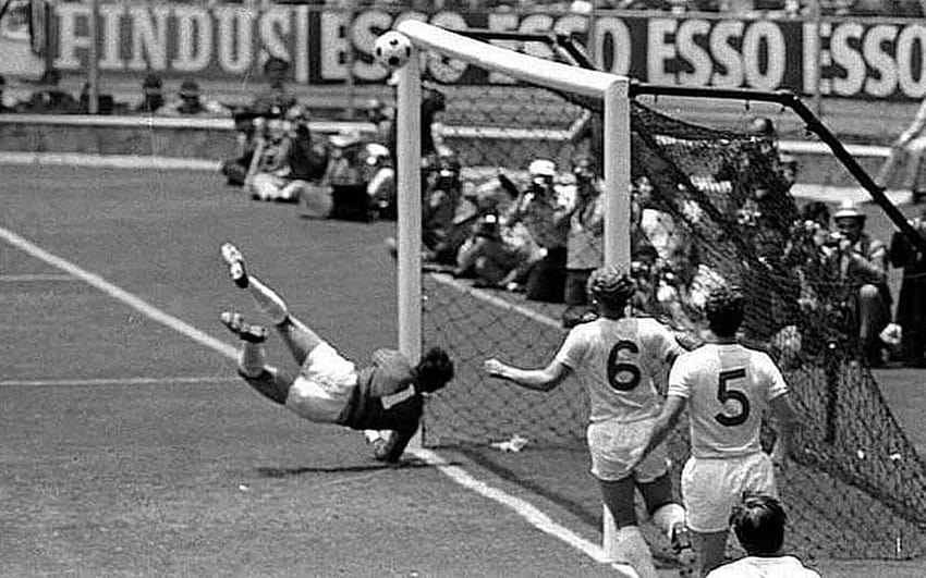Gordon Banks: The steelworker's son who became a World Cup winner HD wallpaper