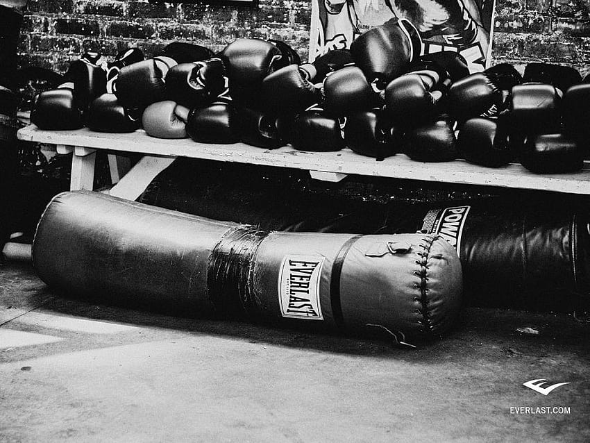 fondo de pantalla de guantes de boxeo eternos