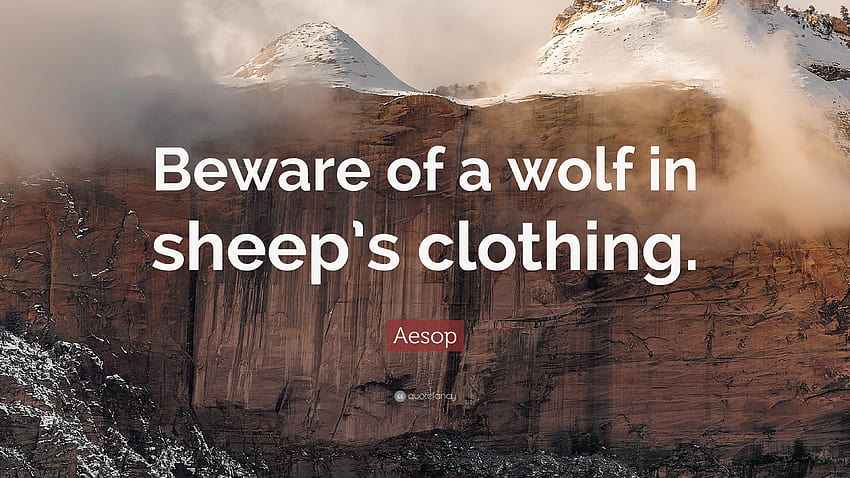 Aesop Quote: “Beware of a wolf in sheep's clothing.”, wolf in sheeps clothing HD wallpaper
