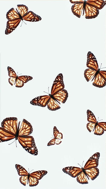 Brown Aesthetic Butterfly Wallpapers  Wallpaper Cave