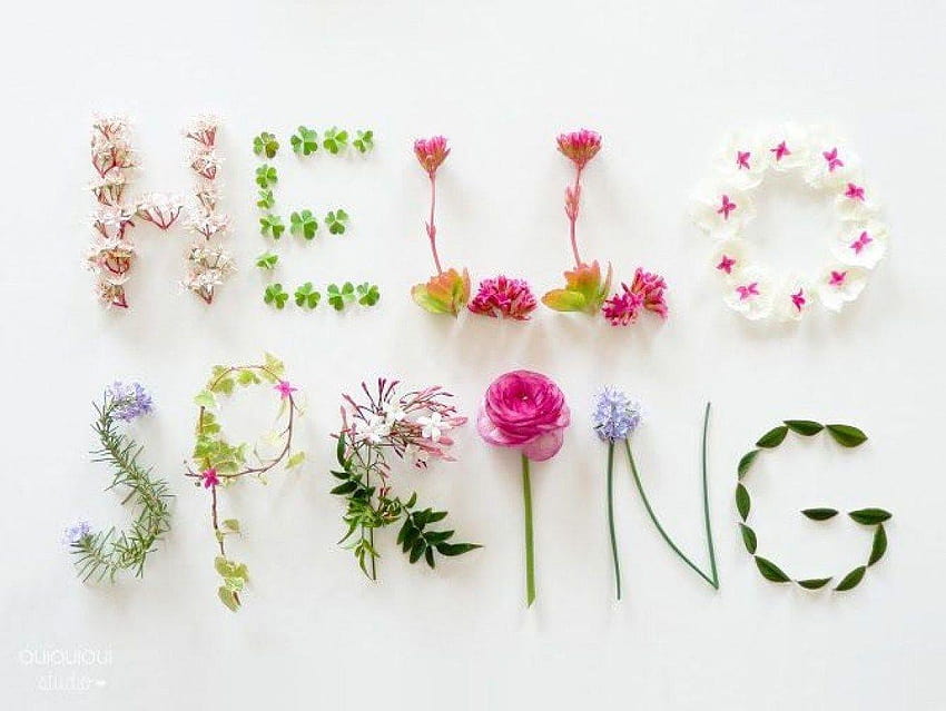 Equinozio di primavera 2016 Primo giorno di primavera bellissimo pieno Sfondo HD