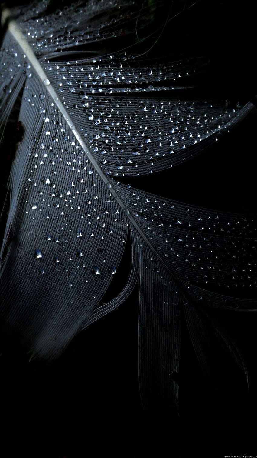 Pure Black ·① stunning for, solid black HD phone wallpaper