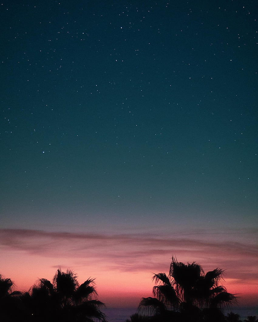 Summer Nights, good night summer HD phone wallpaper | Pxfuel