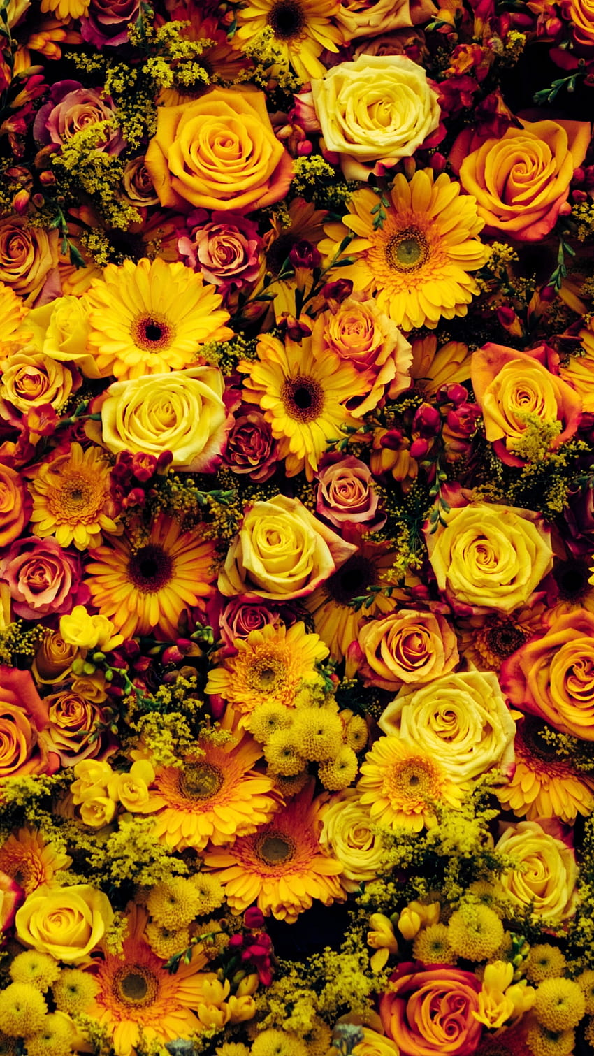 ひまわり, 切り花, フラワーアレンジメント, 春, 花, ひまわり iphone HD電話の壁紙
