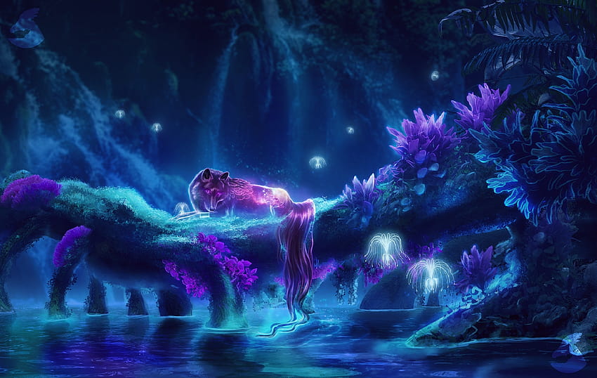 Wolf, magische Kreaturen, Fantasiewesen, Nacht, Wasser, Wald HD-Hintergrundbild