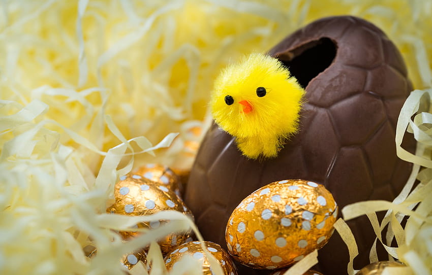 eggs, Easter, chicken, looks, gold, Easter eggs, large, bokeh, chocolate, hatched, around, ., from the egg, easter eggs, the world , section разное HD wallpaper