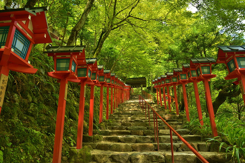 : Japonya, Tapınak, orman, Bahçe, park, yaz, oyun alanı, Torii, Kyoto, ağaç, sonbahar, çiçek, Ormanlık alan, Dış mekan yapısı, Shinto tapınağı 6016x4016, Yaz açık HD duvar kağıdı