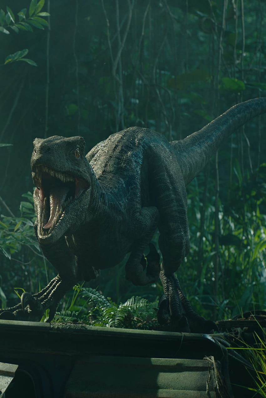 Jurassic World: Fallen Kingdom หลังฉากท้ายเครดิตยั่วยุการล่าอินโดแรปเตอร์ในป่า วอลล์เปเปอร์โทรศัพท์ HD