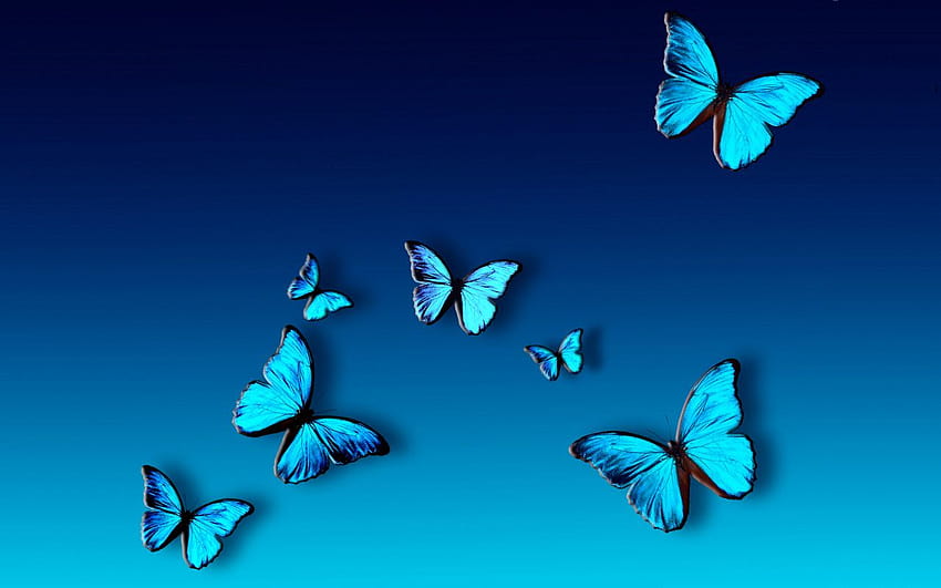 der blaue Schmetterling HD-Hintergrundbild