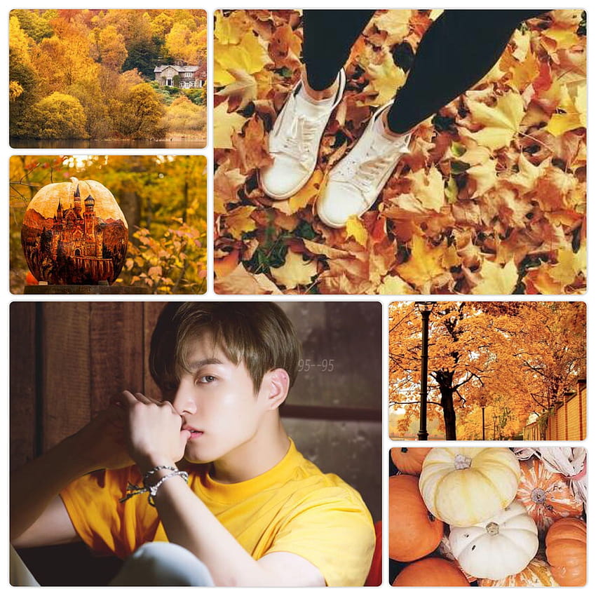 Jungkook Autumn Aesthetic, autumn aesthetic kpop HD phone wallpaper