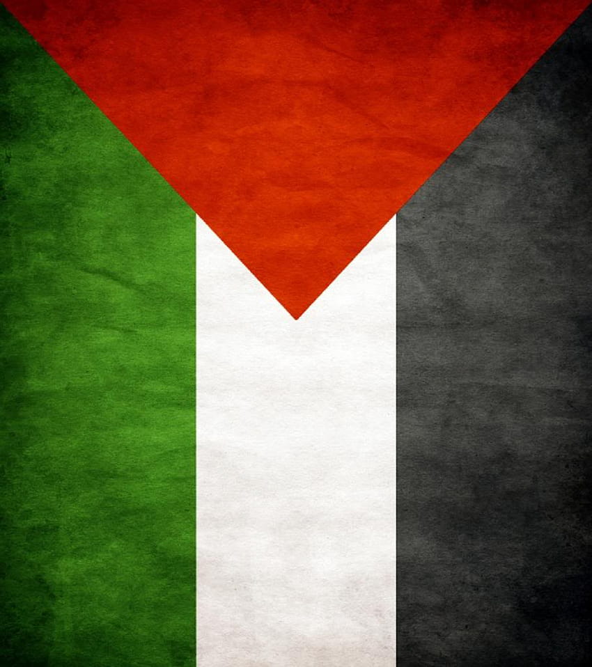Estudantes de Justiça na Palestina na Universidade de Maryland, Palestina Papel de parede de celular HD