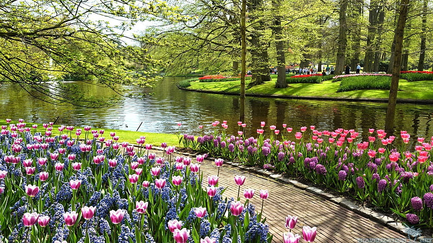 สวนสวยตระการตา The Most Beautiful Gardens All Over The World, Garden Path วอลล์เปเปอร์ HD