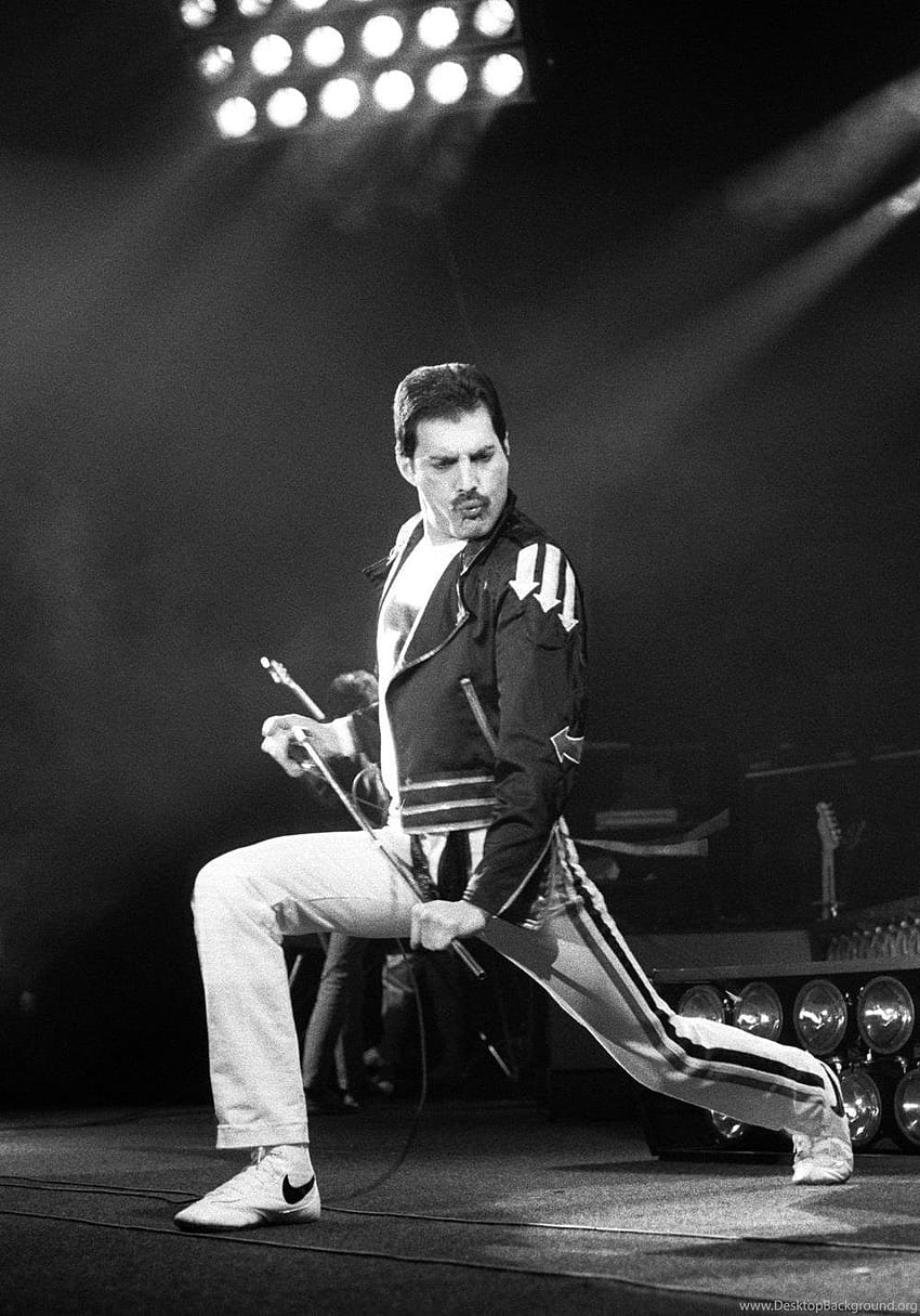 Freddie Mercury , Pics, Backgrounds, queen freddie mercury HD phone wallpaper