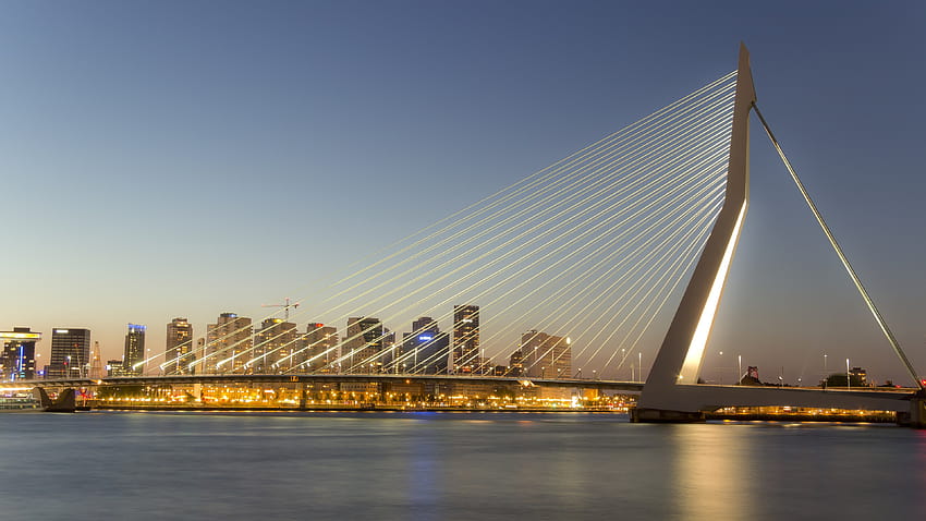 El puente Erasmus en Rotterdam Países Bajos Ultra, erasmusbrug rotterdam fondo de pantalla