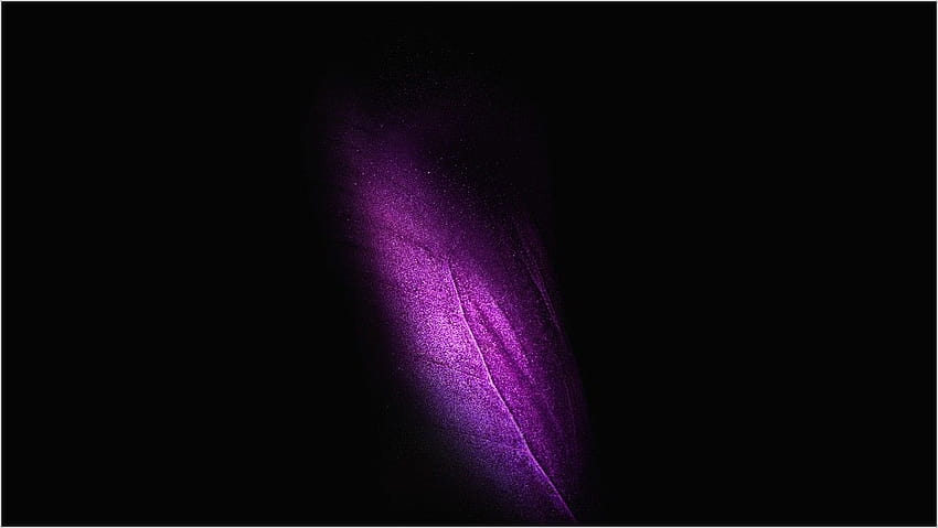 Purple Black HD wallpaper | Pxfuel
