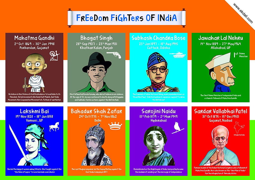 dom fighters of india chart with names, women dom fighter HD wallpaper
